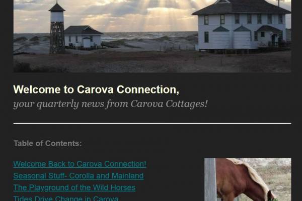 Carova Connection- Fall 2023