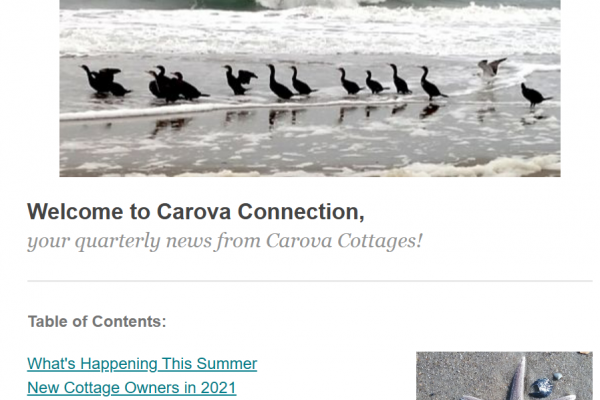 Carova Connection- Fall 2021