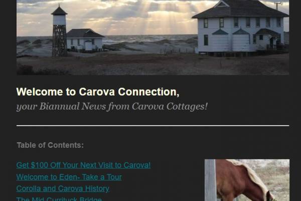 Carova Connection- Fall 2024