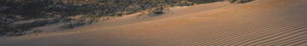 Rippled Sand Dune Rippled Sand Dune