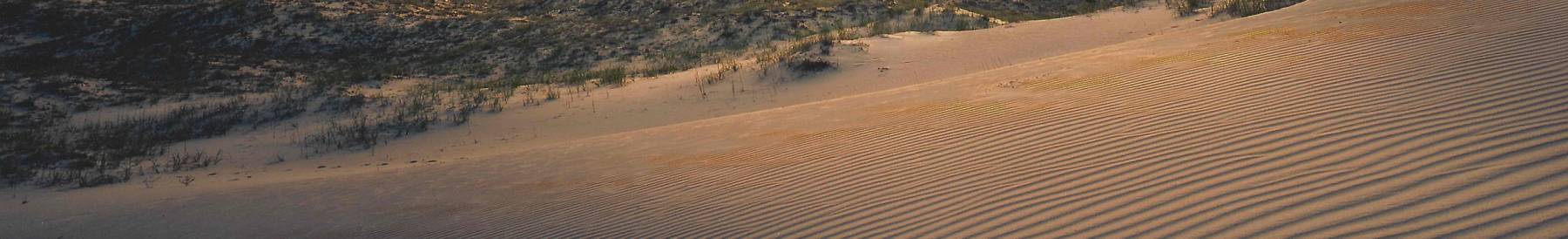 Rippled Sand Dune Rippled Sand Dune